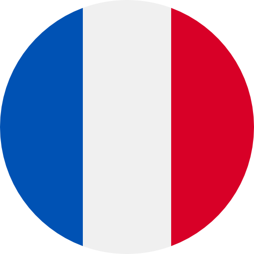 french flag